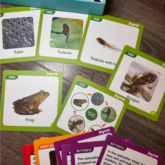 Life Cycle Learning Kit - Multicolor - Picture 3 of 3